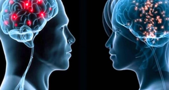 Valóban különbözik a férfi és a női agy?